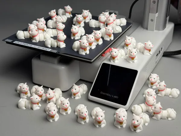 https://makerworld.bblmw.com/makerworld/model/USed16f464cad6bb/design/2025-05-07_cc8da9bde9e638.jpg