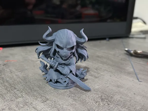 https://makerworld.bblmw.com/makerworld/model/USed1dceb8ec7de5/design/2025-04-15_fbda66bb0f627.jpg