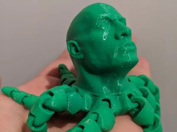 https://makerworld.bblmw.com/makerworld/model/USed24582b3c472e/design/2024-12-25_a2e9194276cb7.png