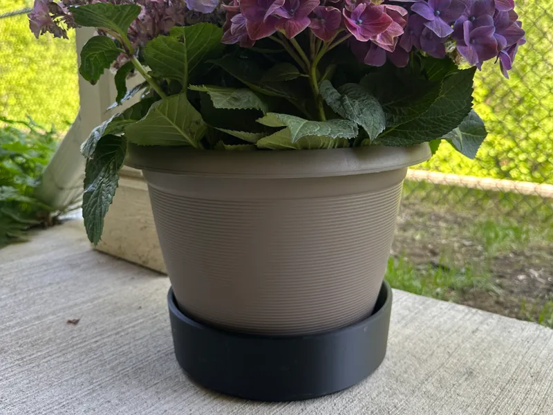Bottom Watering Plant Tray - Large Bowl
