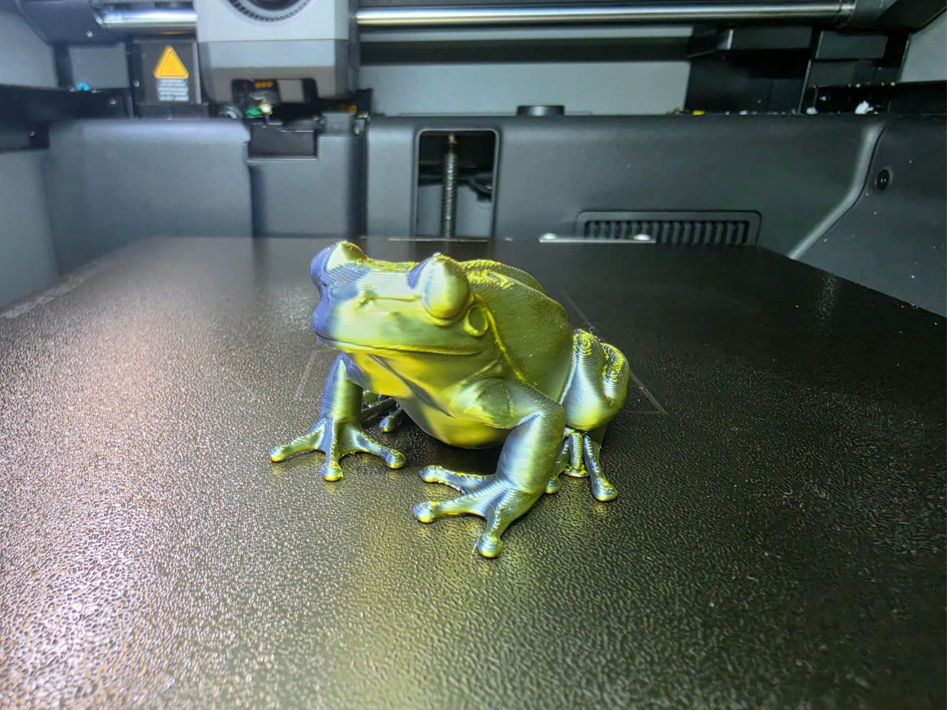 Amerikanischer Laubfrosch Realistisches Tiermodell