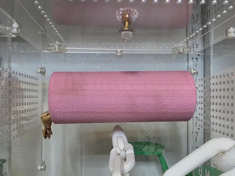 Tube house