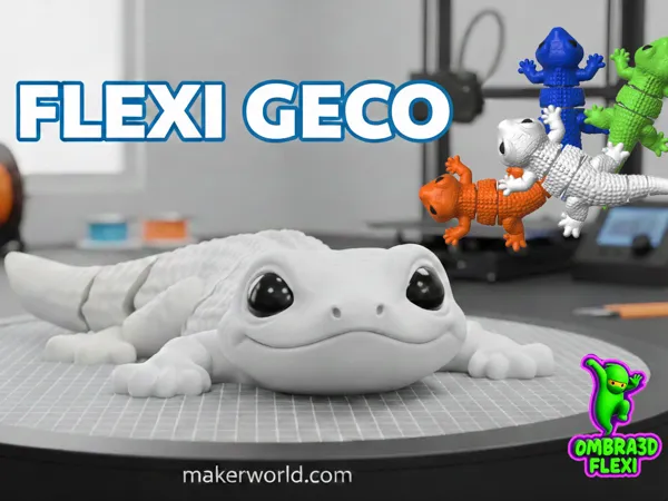 https://makerworld.bblmw.com/makerworld/model/USed2b9ce6f7ff27/design/9b31c9995be62834.png