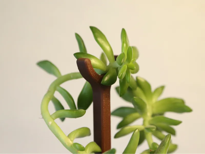 200mm Plant Support (10g 20min)