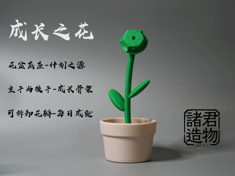 成长之花