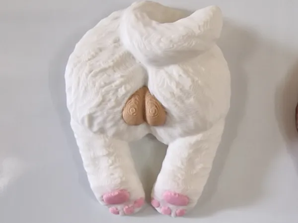 https://makerworld.bblmw.com/makerworld/model/USed30c4d143e3a3/design/2025-03-29_61f257566848f.jpg