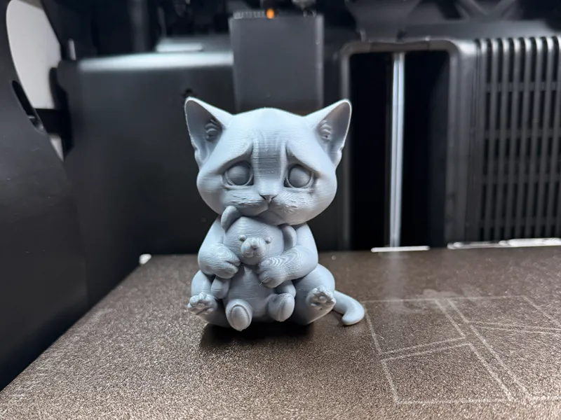 Sad little Cat with Teddybear