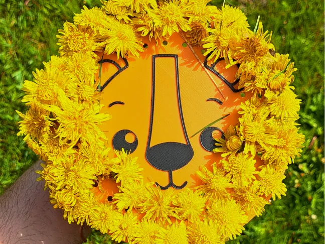 Dandy Lion