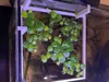 0.2mm layer, 2 walls, 100% infill