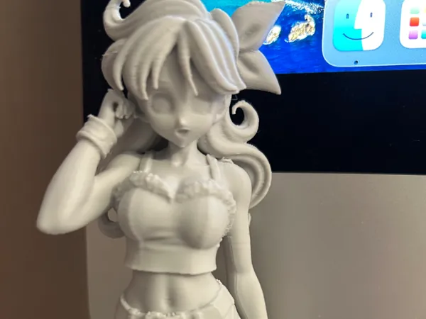 https://makerworld.bblmw.com/makerworld/model/USed3d9c017e60ab/design/a3be92096f1192f1.jpg