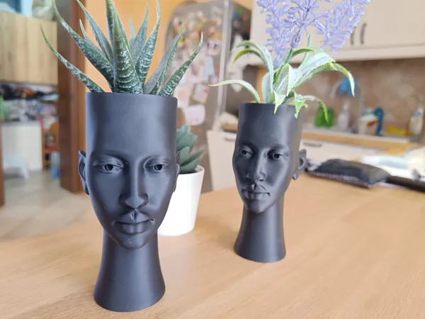 https://makerworld.bblmw.com/makerworld/model/USed3e9891a6e4c8/design/2025-05-03_0068aef6152d58.jpeg