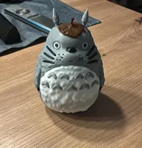 0.2mm layer, 3 walls, 5% infill