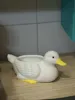 Duck Storage - Multi-color 56X120X57mm