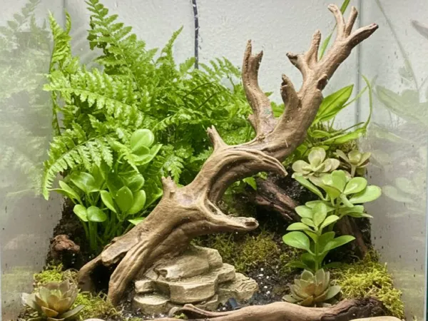 https://makerworld.bblmw.com/makerworld/model/USed46e6cd490fad/design/fad4afab6d974f6c.jpg