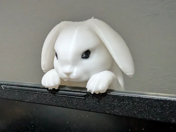 https://makerworld.bblmw.com/makerworld/model/USed4844ab7c0e99/design/112119a8f4fc4157.jpg