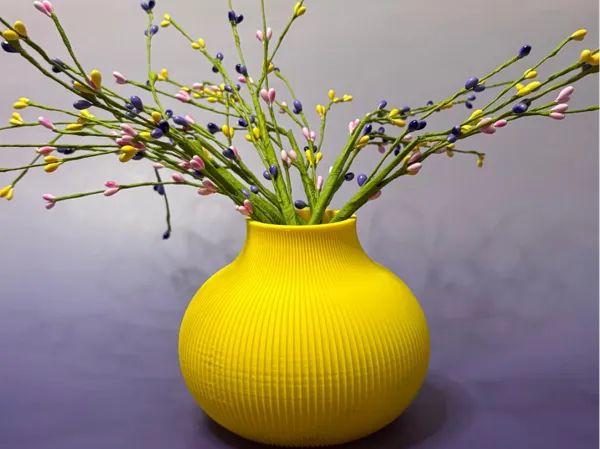 https://makerworld.bblmw.com/makerworld/model/USed4b87fc993da1/design/927c1f6ea5a9715e.jpg