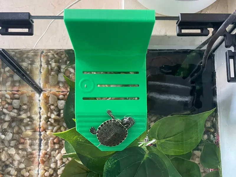 Turtle Ramp with feeder