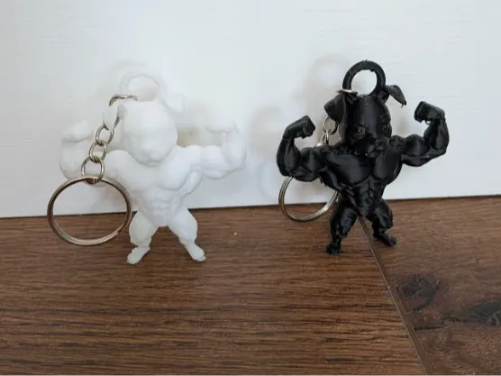 https://makerworld.bblmw.com/makerworld/model/USed4c08fca649cb/design/2026-01-19_841a793ae04f88.png