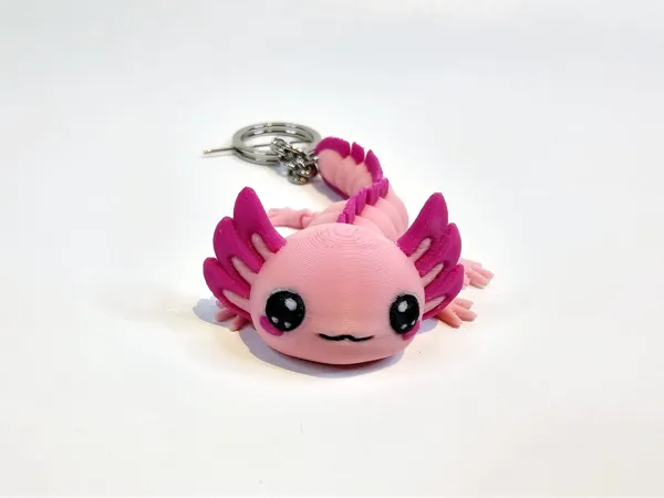 https://makerworld.bblmw.com/makerworld/model/USed4d31935c3c1b/design/2024-11-22_dedb77e4e47c2.jpg