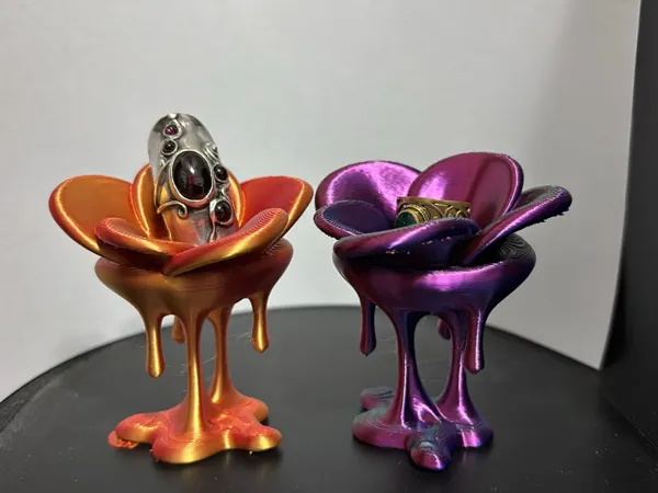 https://makerworld.bblmw.com/makerworld/model/USed4fdb79b54662/design/2025-05-13_800e13d69373a8.jpg