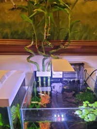 3 plant holder.
