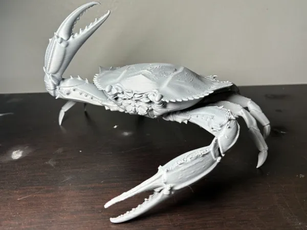 https://makerworld.bblmw.com/makerworld/model/USed545438bbb143/design/c57c3398e487f7c5.jpeg