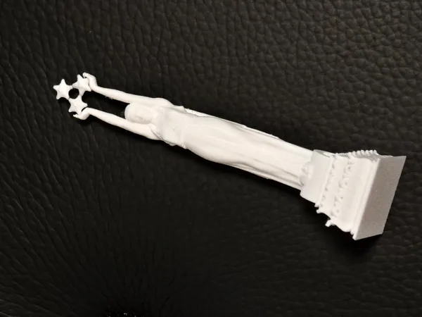 https://makerworld.bblmw.com/makerworld/model/USed556d3ffeff56/design/2025-12-03_7bb262125b95c8.jpg