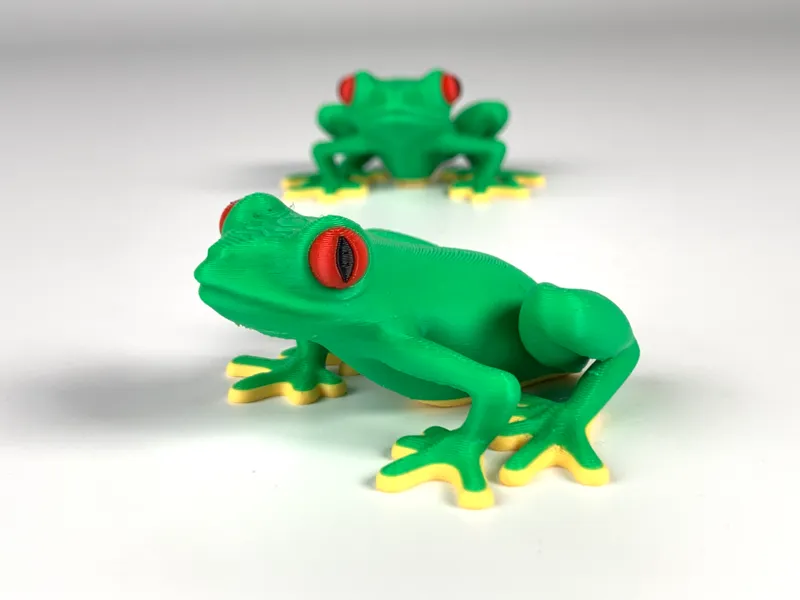 red-eyed tree frog  /  红眼树蛙