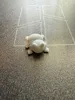 single color 0.16mm layer, 2 walls, 15% infill