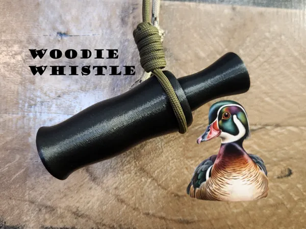 https://makerworld.bblmw.com/makerworld/model/USed603464ee763d/design/2025-02-09_47b37b909b711.jpg