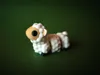 Sheep, Multicolor
