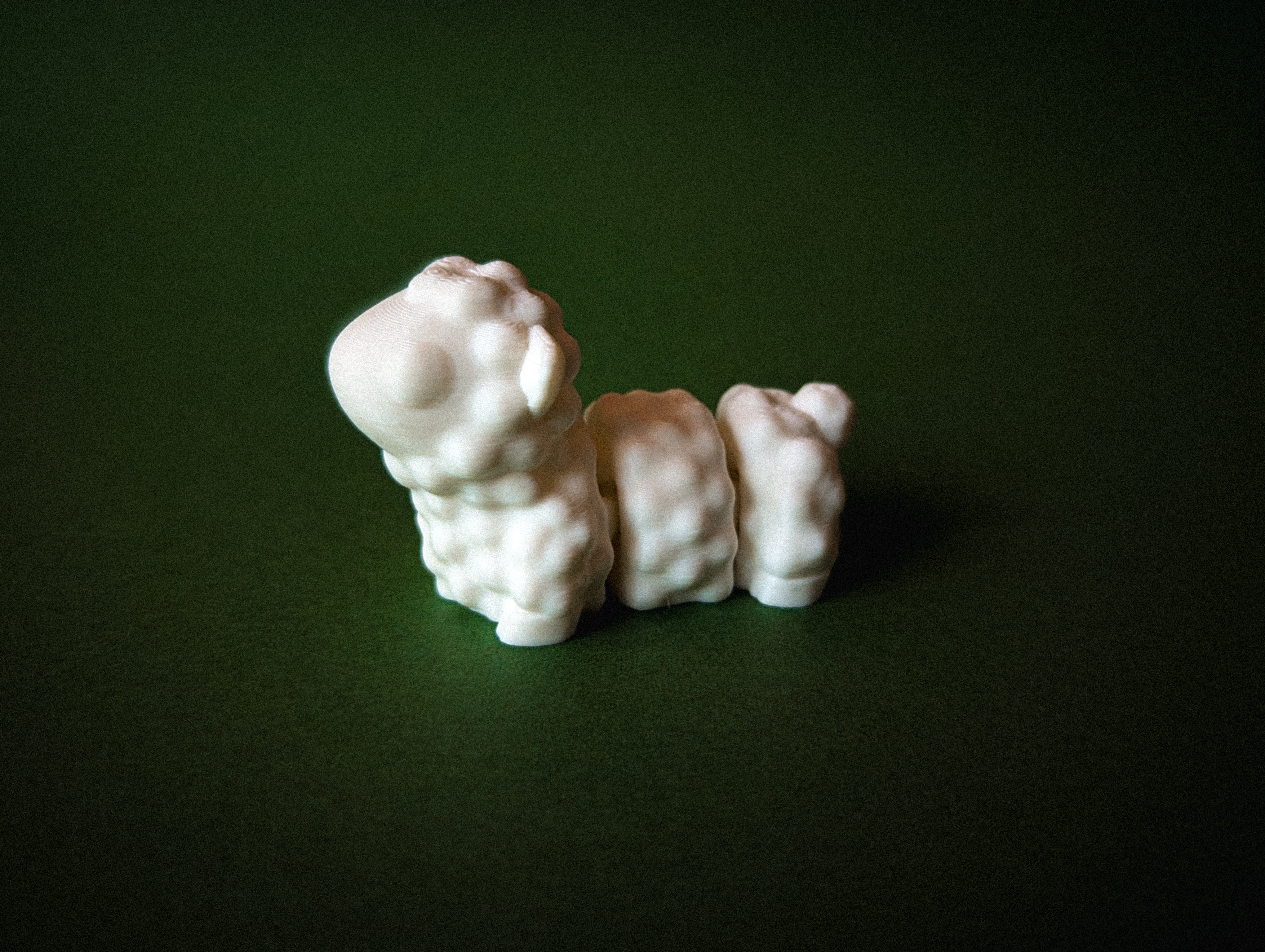 Miniatura 3 do modelo 3D Flexi Sheep