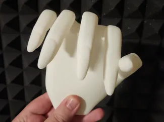 Hand for Holding