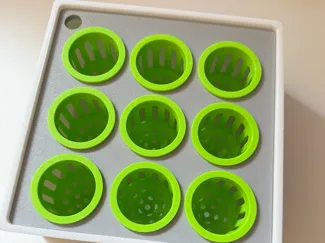 Hydroponic Anzucht