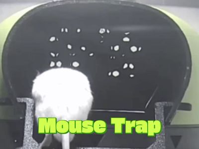 Multi-Catch Mouse Trap