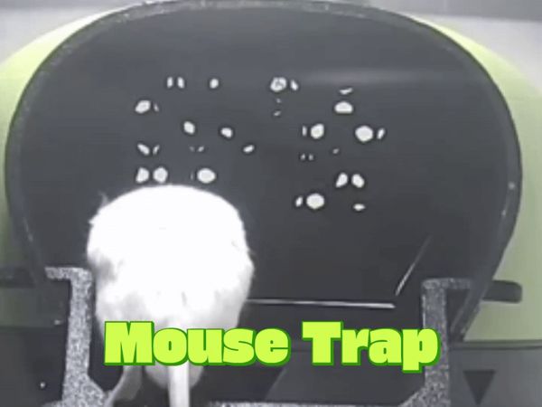 https://makerworld.bblmw.com/makerworld/model/USed77d67ce104be/design/2025-09-28_bf806d7687f16.gif
