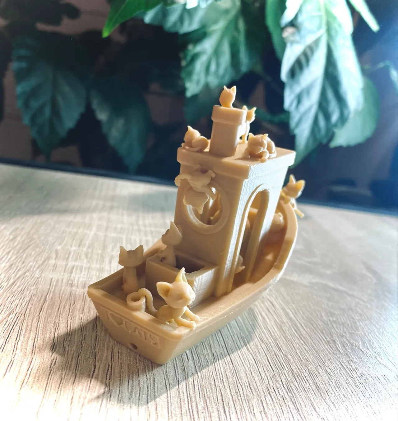 Crazy Cat Benchy view 2