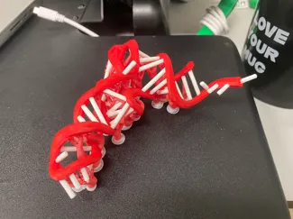tRNA 3D model (PDB: 1TRA)
