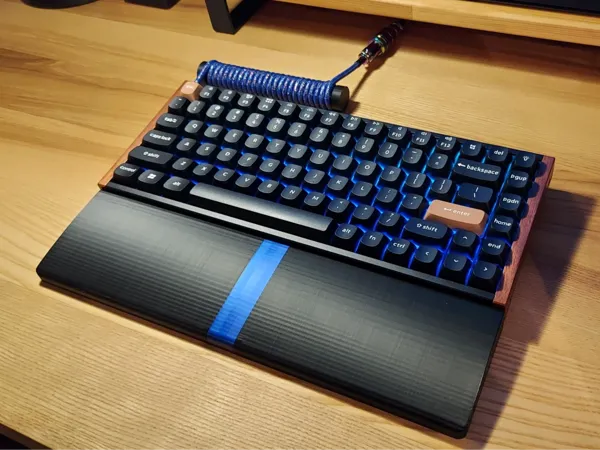 https://makerworld.bblmw.com/makerworld/model/USed8265c75e3bbb/design/2025-01-20_e0b141e565de.jpg