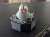 PIGEON BUDDY