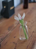 solo flower