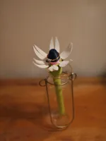 ring support