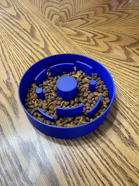 Slow feeding dog bowl