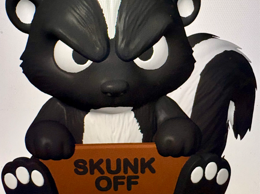 Grumpy / Angry Skunk
