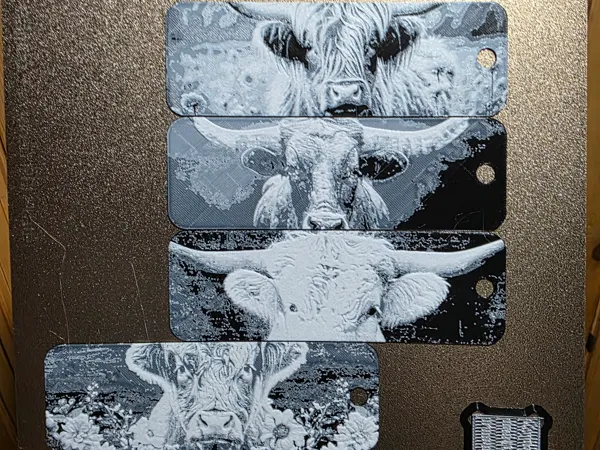 https://makerworld.bblmw.com/makerworld/model/USed988267b9152/design/2026-01-07_22de6080070598.jpg