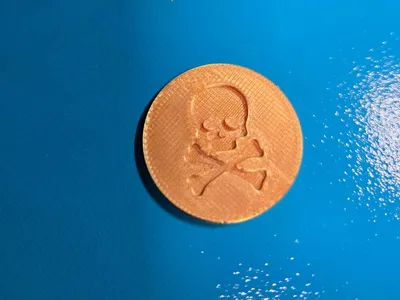 Pirate Treasure Coin