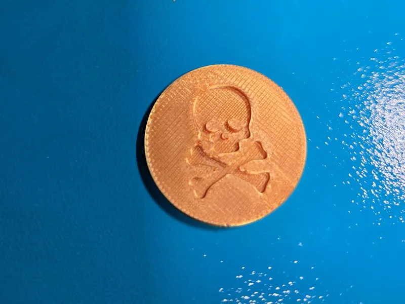Pirate Treasure Coin