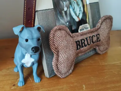 Staffordshire Bull Terrier
