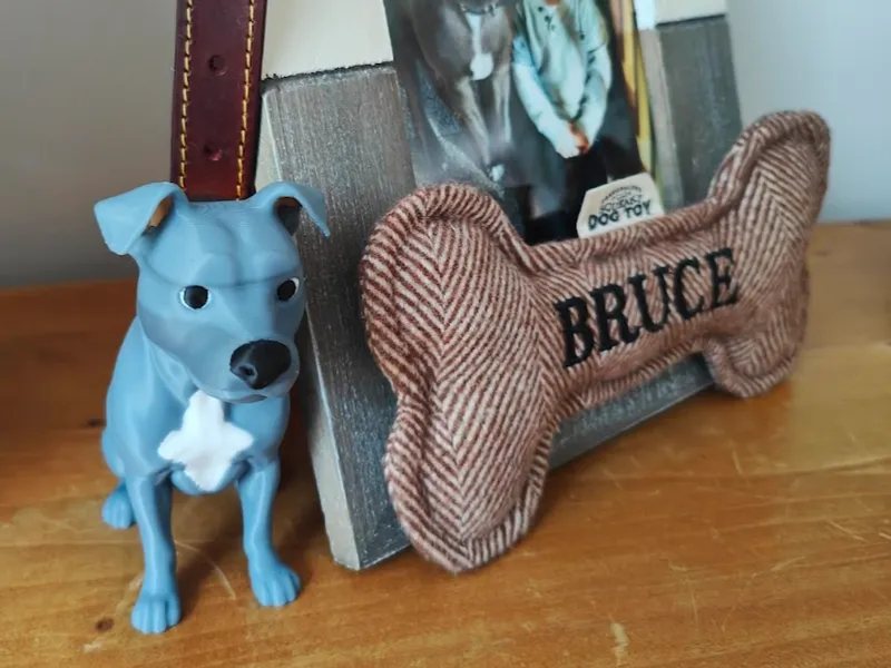 Staffordshire Bull Terrier