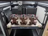 0.16mm layer, 2 walls, 8% infill